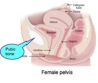 What are some causes of pelvic bone pain?
