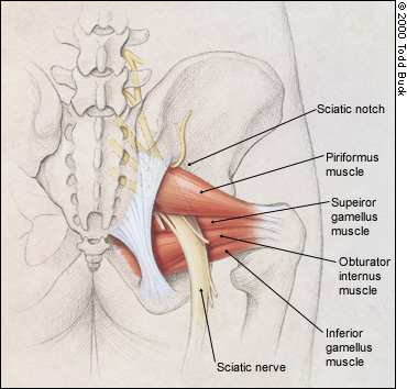 Pelvic Congestion And Leg And Feet Tingling 78