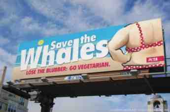 Peta Extremists