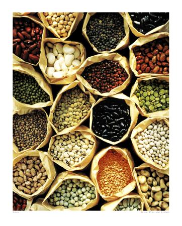 LENTIL PROTEIN, a cheap and