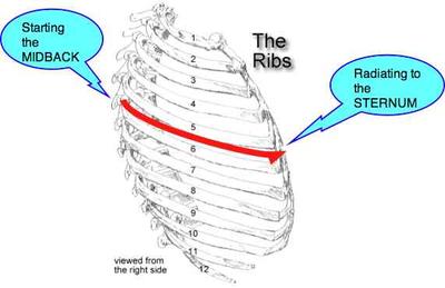 What causes chest pain and shortness of breath?