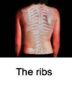 Thoracic spine pain is rarely serious but frequently very irritating.