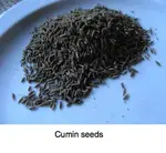 cumin seeds