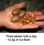 Pecan nuts three a day in hand