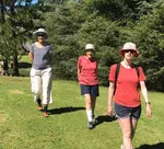 Walking reduces blood glucose