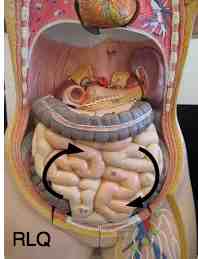 Massage the belly for constipation.