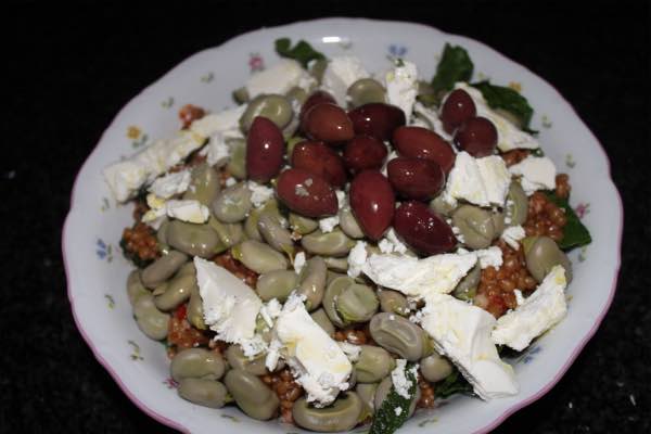 Anti-inflammatory fava bean meal
