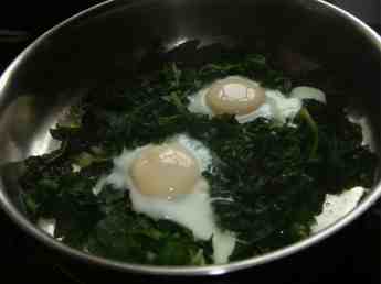 Eggs poached on spinach makes a splended banting breakfast. Eggs poached on spinach makes a splended banting breakfast.