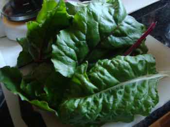 Beet tops. Beet tops.