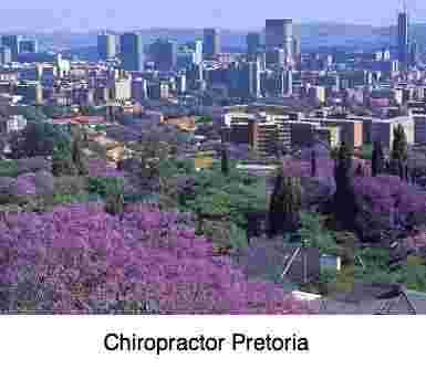 Chiropractor Pretoria with a view of the jacaranda city. Chiropractor Pretoria with a view of the jacaranda city.