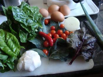 Eight colors eggs Florentine ingredients.