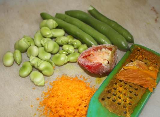 Fava beans for Parkinson's Disease Fava beans for Parkinson's Disease