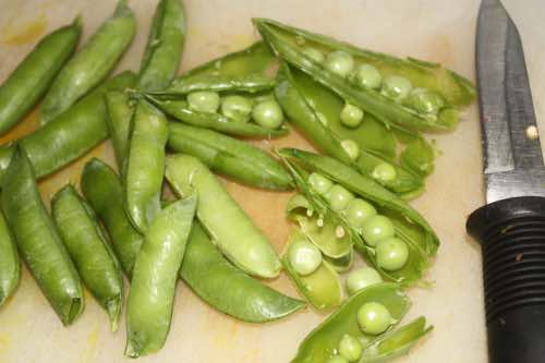 Green peas supply nitrogen to the soil