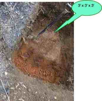 Growing avocado trees means digging a deep hole; lower lumbar back pain can result. Growing avocado trees means digging a deep hole; lower lumbar back pain can result.