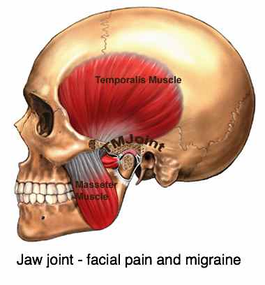 Chiropractic coalface has real case histories taken from the clinic.