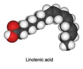 Linolenic acid is an essential omega-3 fat.