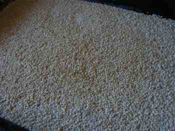 Roasted seeds from make tahini. Roasted seeds from make tahini.