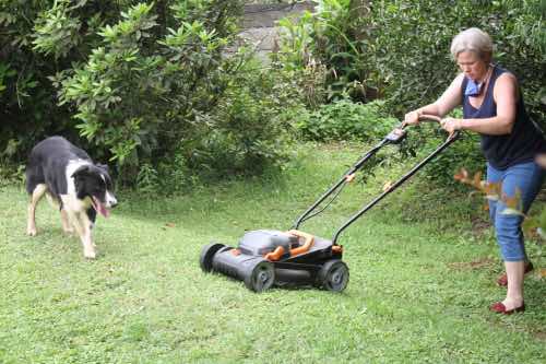 Mowing the grass is moderate physical activity Mowing the grass is moderate physical activity