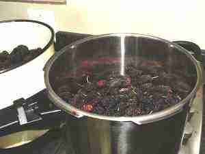Raw mulberries in a pot Raw mulberries in a pot