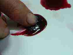 Mulberry jam testing for the gel point Mulberry jam testing for the gel point