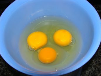 Organic fertilised egg Organic fertilised egg