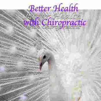 Peacock is the symbol of our newsletter, better health with chiropractic.