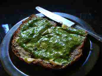 Pesto sandwich Pesto sandwich