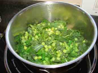 Planting broccoli in a pot.