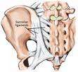 Sacroiliac or SI joint.