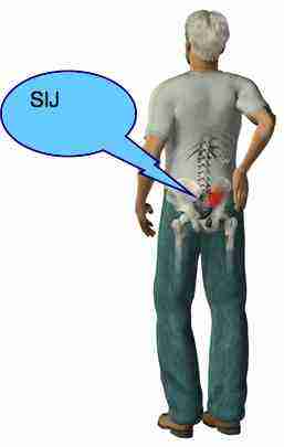 Sacroiliac joint anatomy takes you on a little tour of the pelvis.