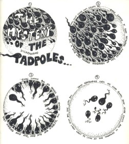 Tadpoles 1 by Lorraine Harrison for dyslextics