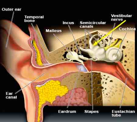 ear crystals vertigo