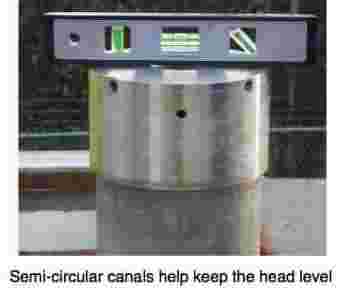The semi-circular canals serve to keep the head level; debris inhibiting the movement of fluid causes vertigo. The semi-circular canals serve to keep the head level; debris inhibiting the movement of fluid causes vertigo.