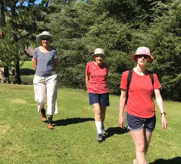 Walking reduces blood glucose