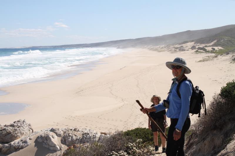 Walking benefits along the Whale trail in South Africa.