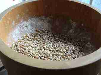 Wheat in Hawo grinder