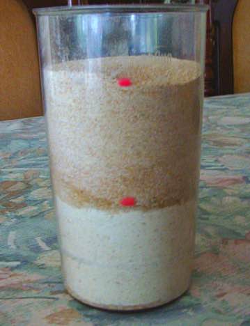 Whole wheat flour versus the counterfeit.