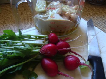 Authentic hummus recipe dip with radish. Authentic hummus recipe dip with radish.