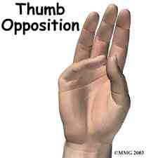 Ask someone to pull your thumb and pinkie apart, comparing right and left.