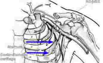 Follow the blue lines with index and middle fingers