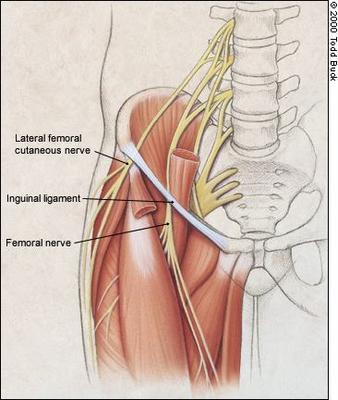 Pain in the upper groin area toward the inside front of my left leg.