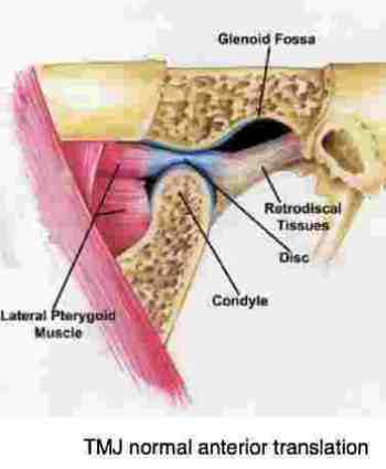 TMJ anatomy takes you on a tour of this complex pain causing joint.