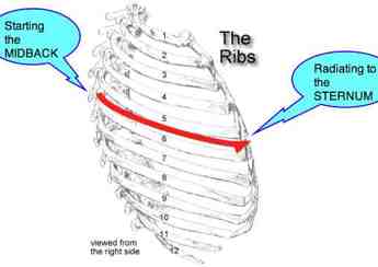 Thoracic spine rib pain